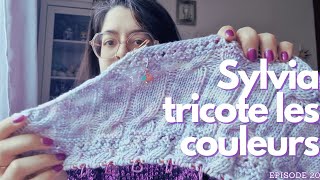 Sylvia tricote les couleurs n°20  Cest la saison des pulls ✨🧶 [upl. by Neyuq]