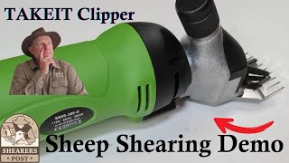 Sheep Clipper Demo by a Real Shearer Is the TAKEIT Amazon amp Ebay Sheep Shearing Clipper Any Good [upl. by Kcirdez436]