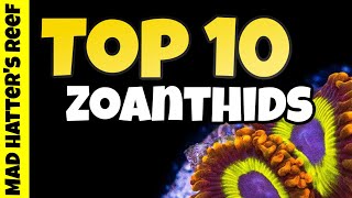 Top 10 Zoanthids For Your Reef Tank [upl. by Amehsyt897]