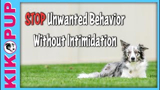 STOP unwanted behavior without INTIMIDATION [upl. by Sherilyn245]