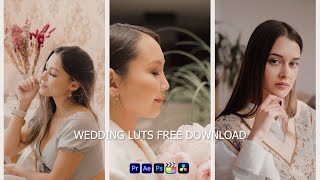 Free Download Wedding Luts  Color Grading  Premiere Pro [upl. by Acilgna339]