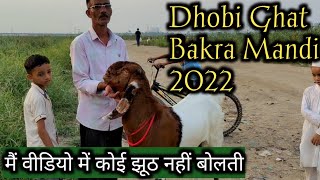 Okhala Batla House Dhobi Ghat Bakra Mandi 2022  Delhi Bakra Mandi update 2022  Dhobi Ghat Bakra [upl. by Ellerehc]