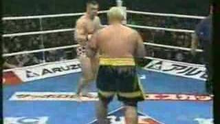 Cro Cop vs Mark Hunt [upl. by Annawoj]