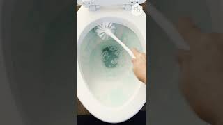 How To Clean a Toilet Brush [upl. by Donelson901]