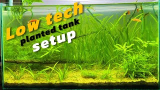 How to setup Low Tech Planted tank  For Beginners [upl. by Nabal]