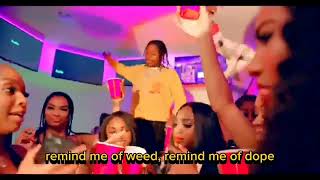 42 Dugg  Megan Feat Blac Youngsta Official Music Lyrics Video [upl. by Lachance]