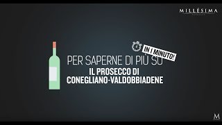 Video tutorial – DOCG PROSECCO DI TREVISO  VENETO [upl. by Eninaej]