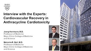 Cardiovascular Recovery in Anthracycline Cardiotoxicity [upl. by Nnylarak]