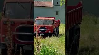 Il Bestione camion Fiat 682 N4 tre assi Viberti fiat682 fiat682viberti [upl. by Ramyaj944]