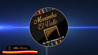 ALMA SHECANA  Marimba El Valle [upl. by Helve]