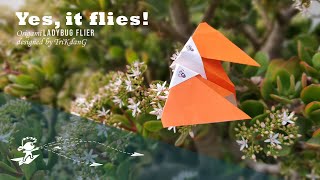 ORIGAMI PAPER PLANE  How to make an EASY paper airplane that flies  Ladybug Flier [upl. by Saville]