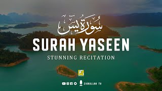 Most beautiful recitation of Surah Yaseen Yasin سورة يس ⋮ Zikrullah TV [upl. by Kelsi]