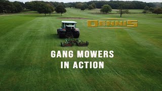 Dennis Gang Mowers in action [upl. by Coreen]