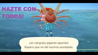 COMO PESCAR UN CANGREJO GIGANTE JAPONES EN 30 SEGUNDOS ANIMAL CROSSING NEW HORIZONS [upl. by Leidba561]