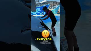 A huge dolphin caused a panic in the water park 🐬🌊 [upl. by Arahahs]