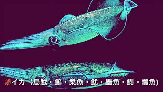 異種格闘技戦50·前編②漆黒の海🌊の生物決定戦④【Real Rock n Rollaリアル・ロックンローラ】ヒョウアザラシ（豹海豹🦭🆚【🌊海の鰐🐊】メトリオリンクス🐊戦 [upl. by Marutani565]