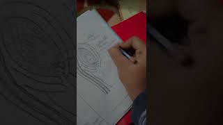 Structure of ovule class 12th boardsexam biology important diagram [upl. by Aay]