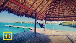 Escape to Bacalar Lagoon 🩵 1Hour of Relaxing Nature Sounds [upl. by Hars]