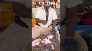 KASIMEDU 🔥 MINNAL RAJA LETHER JACKET FISH CUTTING VIDEO kasimeduraja fishcutting youtubeshorts [upl. by Mihcaoj]