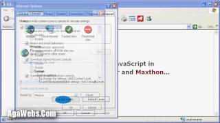 How to enable JavaScript in Internet Explorer and Maxthon [upl. by Htnamas]