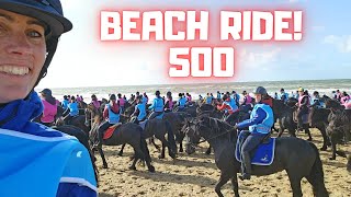 Friesian horses beach ride with 500 Friesian horses  Friesian Horses [upl. by Vacuva]