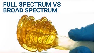 No Holds Barred Full Spectrum Vs Broad Spectrum [upl. by Bruni]