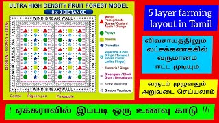 5 layer farming layout in tamil  Ultra high density food forest  Iyarkai vivasayam [upl. by Asselam749]