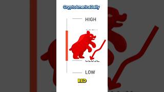 Understanding Candlestick Charts in 45 Seconds🔥😱shorts [upl. by Immac]