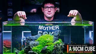 90CMCUBE PLANTED AQUARIUM WITH AN AWESOME 360 VIEW [upl. by Eitsym]