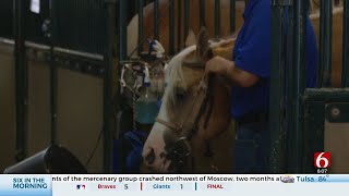 National Reining Horse Association Classic Opens At Tulsa County Fairgrounds [upl. by Nakashima909]