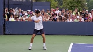 Novak Djokovic Ultimate Compilation  Forehand  Backhand  Overhead  Volley  Serve  2013 Cincinn [upl. by Tterb]