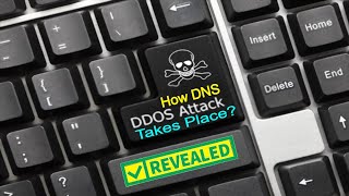 what is DNS DDOS ATTACK  DDOS DNS Attack  How does DDOS DNS Attack take place  Infosec [upl. by Esinehs]