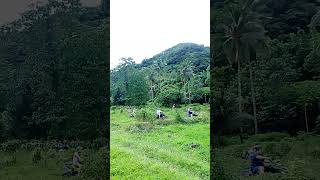 PALAYA NATURAL FARM TANAY RIZAL ATV ADVENTURES EXPERIENCE [upl. by Ressler]