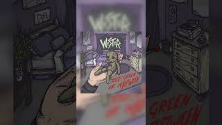 WSTR  Featherweight shorts poppunk fyp [upl. by Valentin]