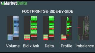 Follow the Footprints to Profits [upl. by Etteinotna]