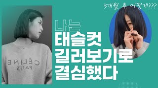 태슬컷 칼단발 3개월 동안 길러봤다 3개월 후 어떤 모습 [upl. by Kabob95]