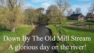 Down By The Old Mill Stream Scottish Small Stream Fly Fishing [upl. by Analahs]