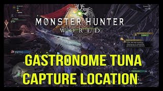 Monster Hunter World  Gastronome Tuna Rare Fish Capture Location [upl. by Amlus]