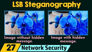 LSB Steganography  Demo [upl. by Gilles768]