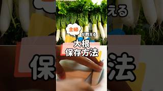 大根の保存方法 冬野菜 野菜保存方法雑学 野菜栽培 料理 農業 園芸 [upl. by Obmar]