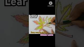 Easy Way To Draw leaves drawing art leaves shortsvideo [upl. by Ahens]