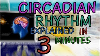 CIRCADIAN RHYTHM EXPLAINED IN 3 MINUTES  WHAT IS THE CIRCADIAN RHYTHM  HUMAN BODY CLOCK [upl. by Lrem]