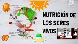 LA NUTRICIÓN DE LOS SERES VIVOS nutrición autotrofos heterotrofos [upl. by Ahsitan]