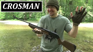 Crosman Pump Master 760BKT 37 Air Rifle Review  BBs or Pellets [upl. by Lemuela961]