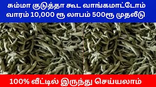 சும்மா குடுத்தா கூட வாங்கமாட்டோம் வாரம் 10000 ரூ லாபம் 500ரூ முதலீடு  Small Business Ideas  Tamil [upl. by Cavit]