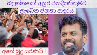 බලන්නකෝ අනුර ජනදිපතිතුමට ලැබෙන ජනතා ආදරය අනුරව බලන්න ජනතාව පොරකයි [upl. by Franky544]