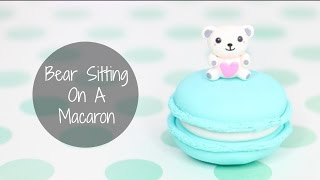 Bear Sitting On A Macaron [upl. by Eseneg26]