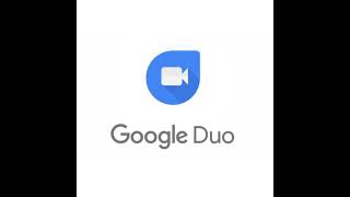 Google Duo  Ingoing Call [upl. by Barthel]