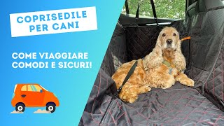 Trasportare il cane in auto come farlo viaggiare comodo e al sicuro [upl. by Matt]