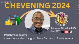 Polishing Your Chevening Scholarship Essays Tips and Insights [upl. by Kaete287]